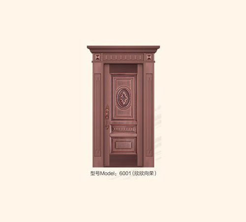 防盗单面门6001
